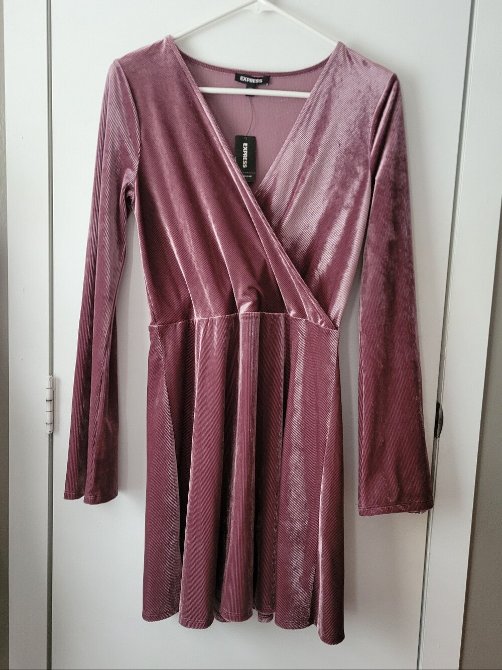 Express Mauve Purple Velvet Dress